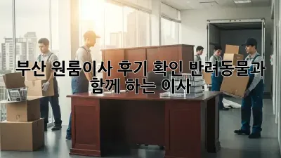 부산 원룸이사 후기 확인: 반려동물과 함께 하는 이사