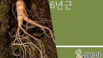 풍성한 한가위🌕 특별한 전통주 추석 선물 세트 후기 & 꿀팁 대방출! 놓치면 손해!🎁